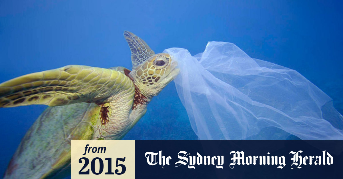 Eight Million Tonnes Of Plastic Added To Ocean Every Year Study